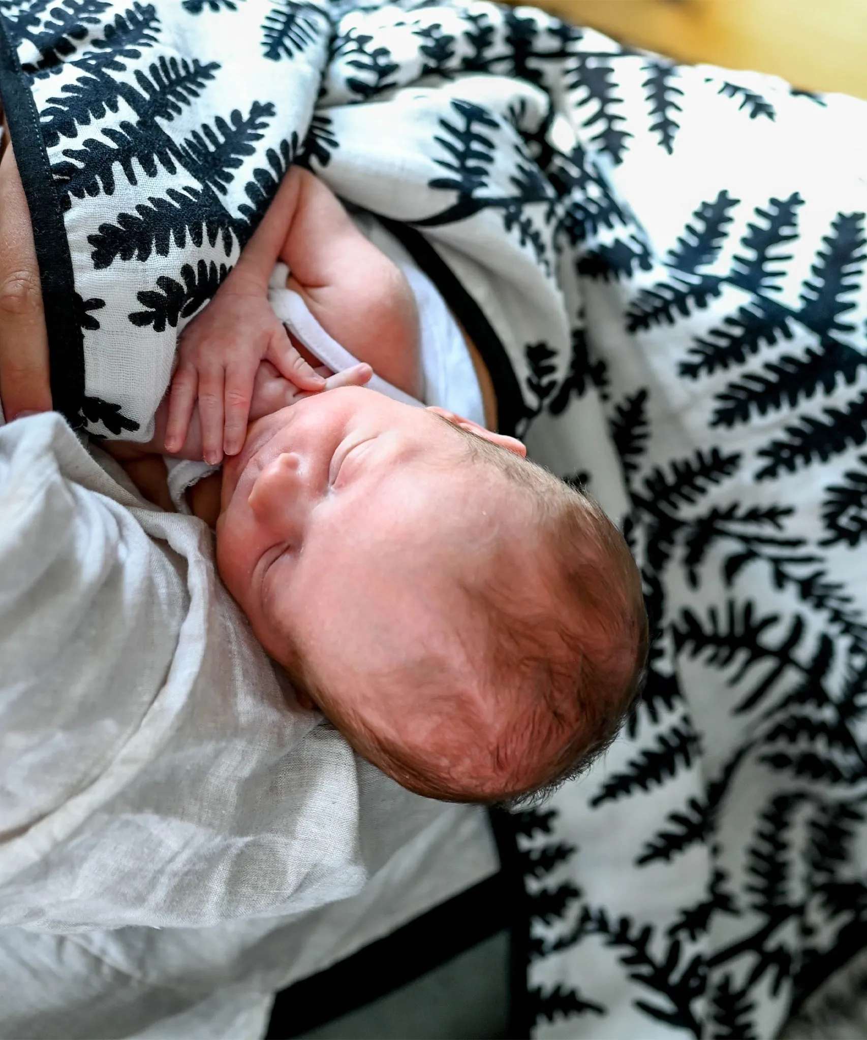 Etta Loves Reversible Organic Muslin Blanket - Plant