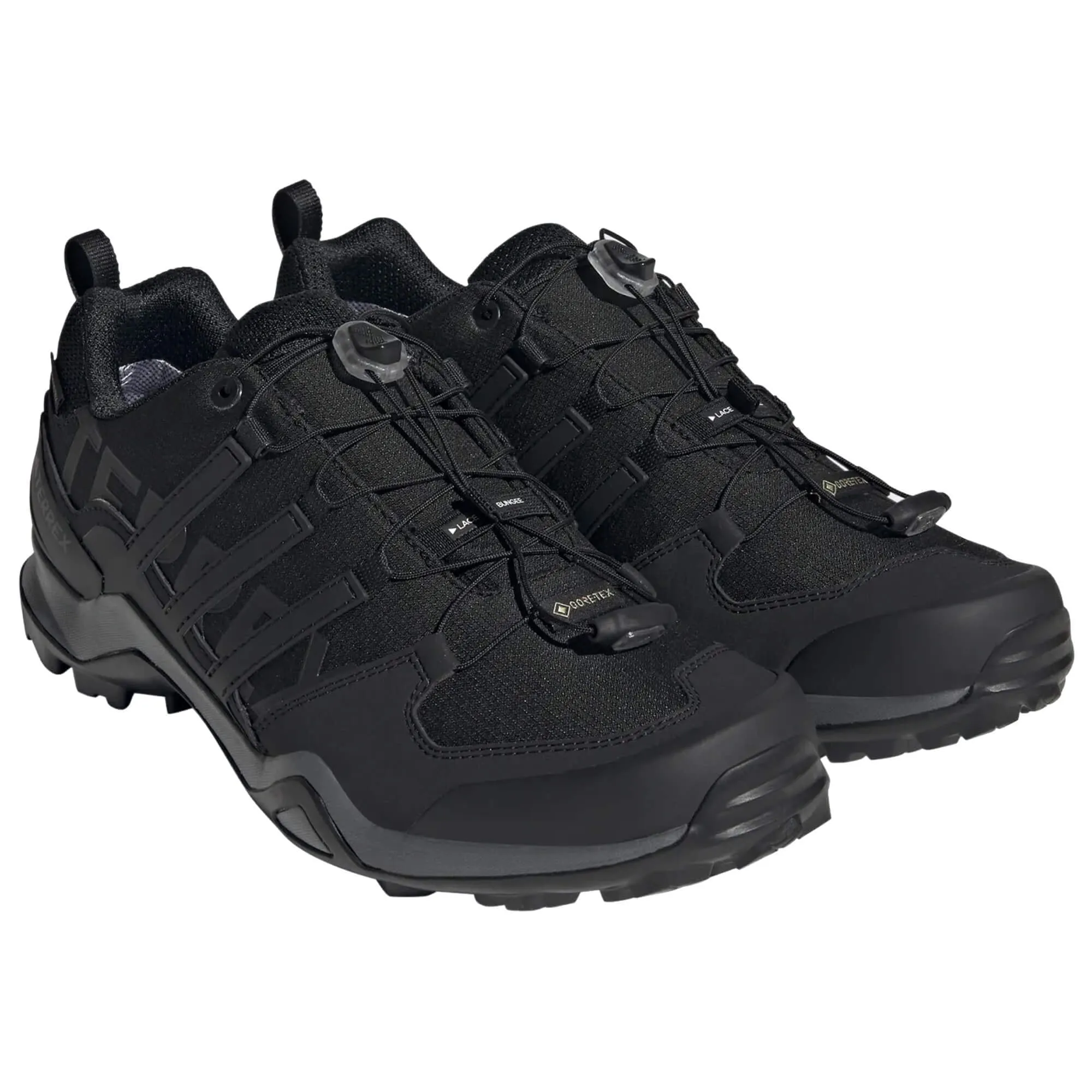 Mens Terrex Swift R2 GTX Walking Shoe