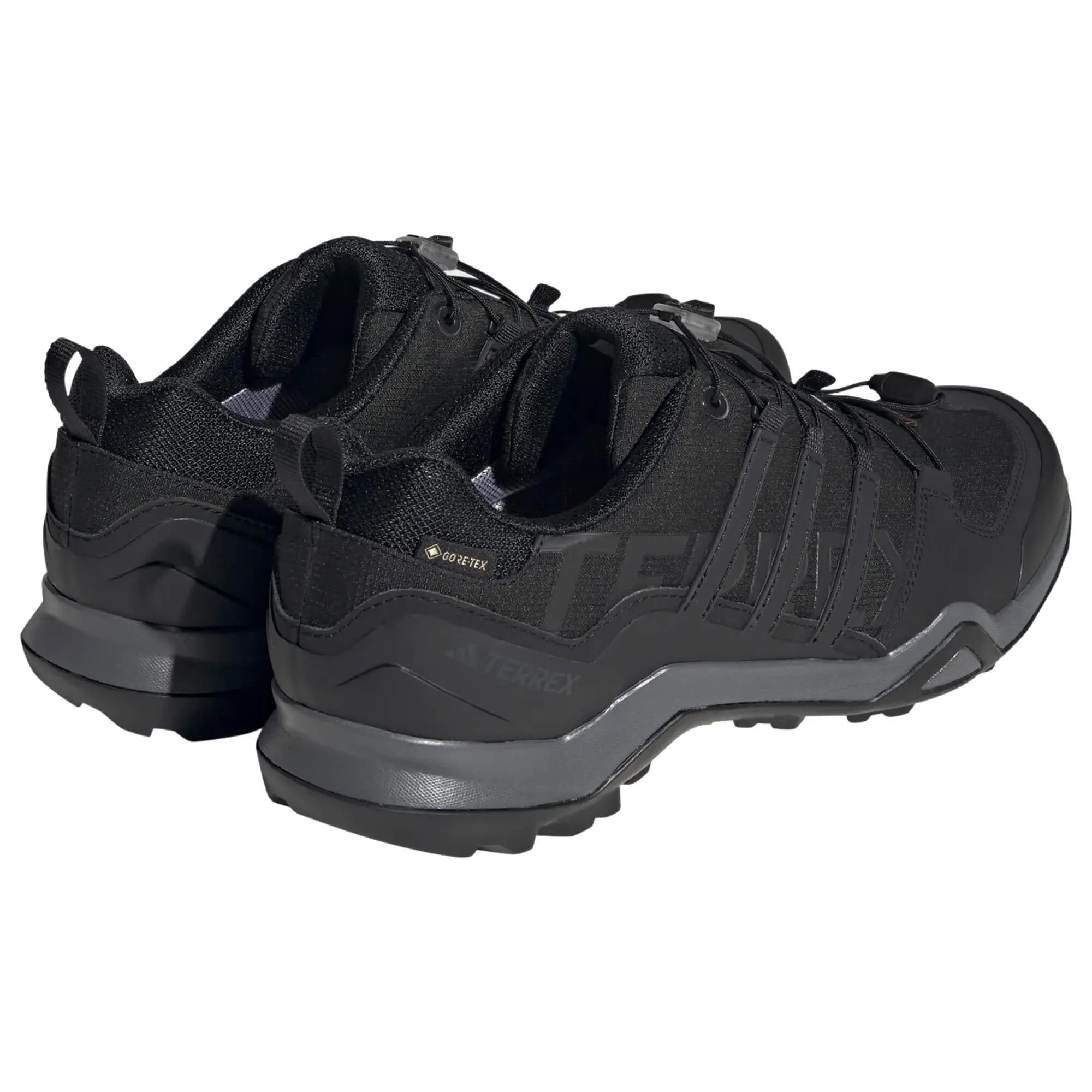 Mens Terrex Swift R2 GTX Walking Shoe