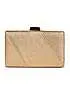 Paradox London Divinia Champagne Gold Shimmer Box Clutch Bag