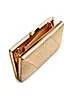 Paradox London Divinia Champagne Gold Shimmer Box Clutch Bag