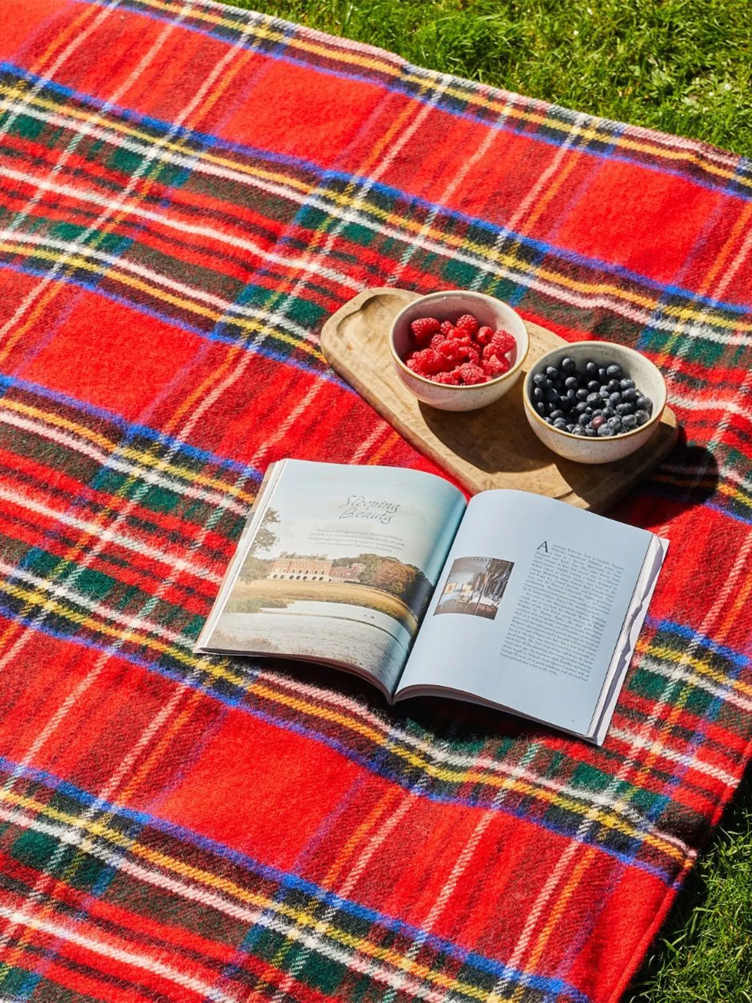 Picnic Blanket