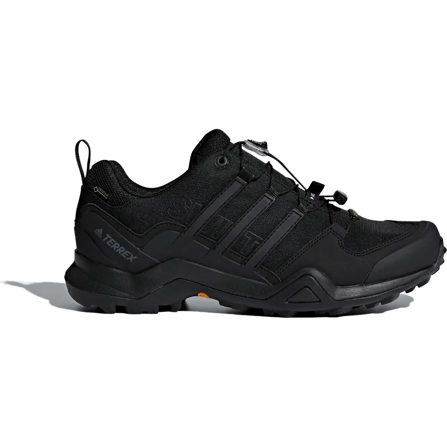 Terrex Swift R2 GTX Men's Approach Shoe